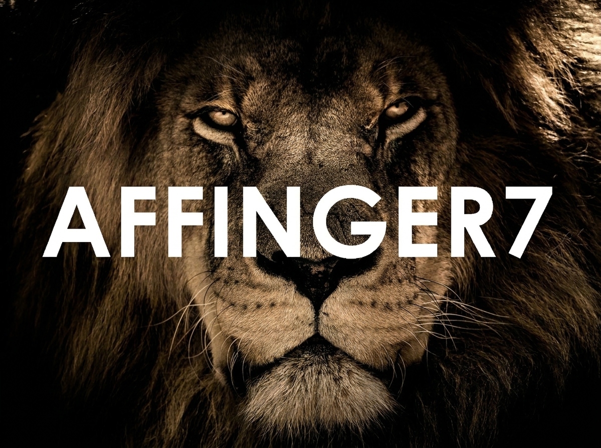 AFFINGERイメージ画像