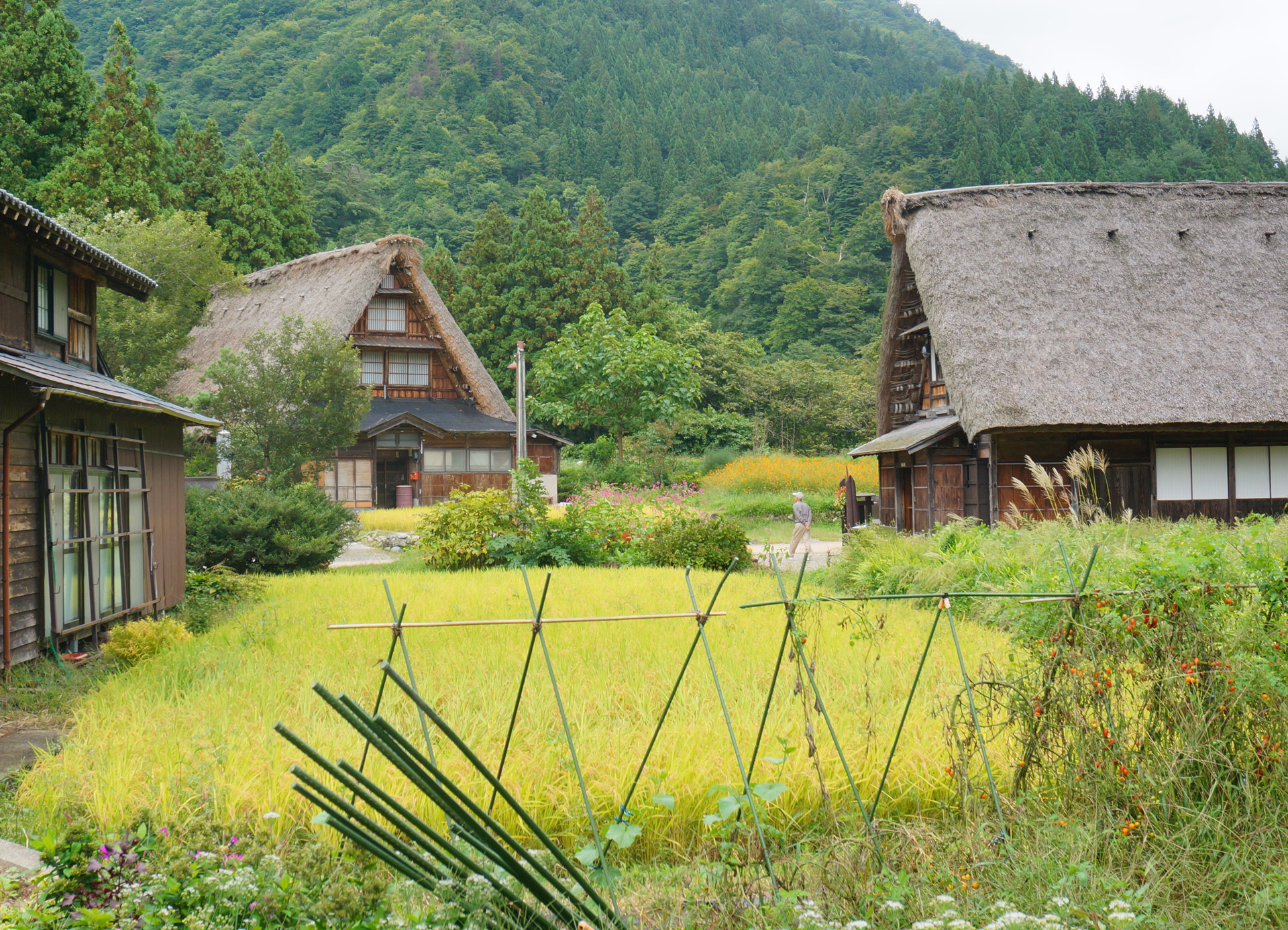 日本の田舎風景